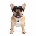 Gorra Para Mascotas Perro O Gato